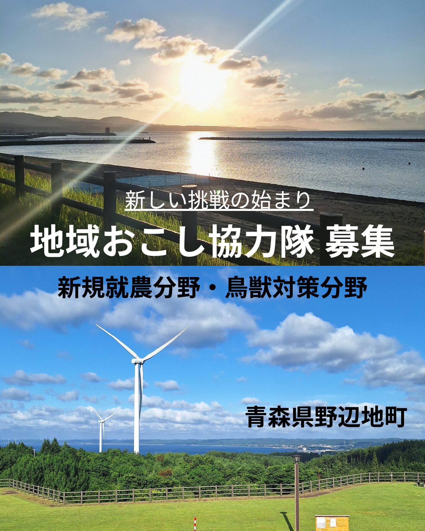 【地域おこし協力隊募集中!】~新規就農分野・鳥獣対策分野の2分野~