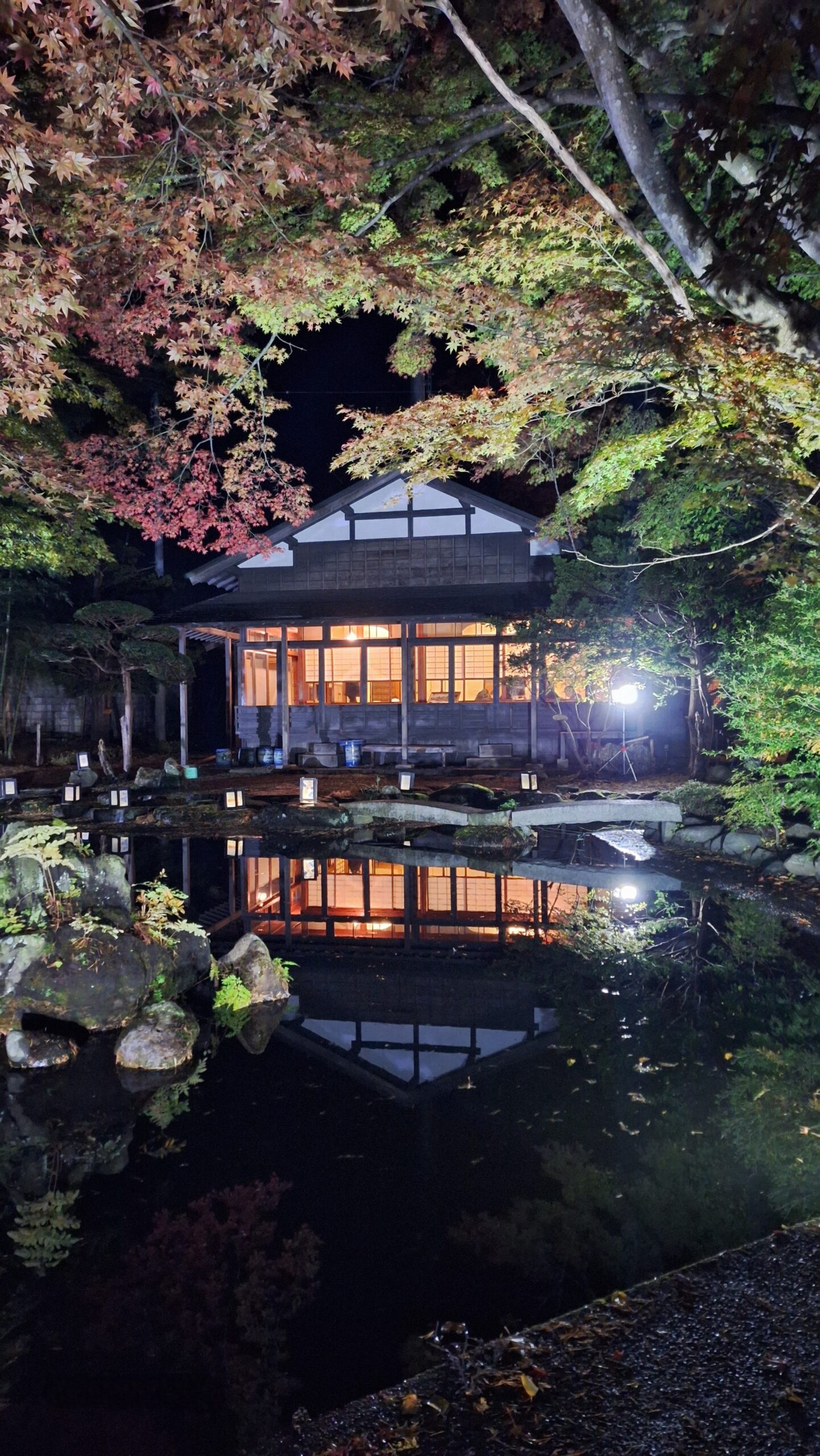 【行在所夜間特別公開】ライトアップされた行在所の模様～11/3～