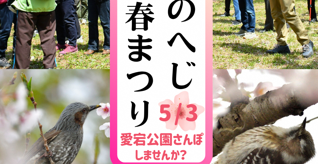 【イベント情報】🌸2026 のへじ春まつり企画🌸～5/3　愛宕公園さんぽ　参加者募集～